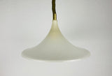Midcentury Plexiglass Pendant Lamp, 1960s
