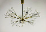 Glass and Brass 'Snowflake' Chandelier by Emil Stejnar for Rupert Nikoll, 1960s