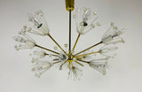 Glass and Brass 'Snowflake' Chandelier by Emil Stejnar for Rupert Nikoll, 1960s