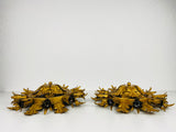 Set of 2 Golden Florentine Flower Shape Flushmounts by Banci, Italy, 1970s