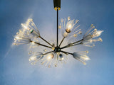 Glass and Brass 'Snowflake' Chandelier by Emil Stejnar for Rupert Nikoll, 1960s