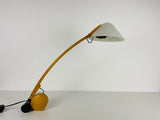 Mid-Century Table Lamp by Domus, 1960s